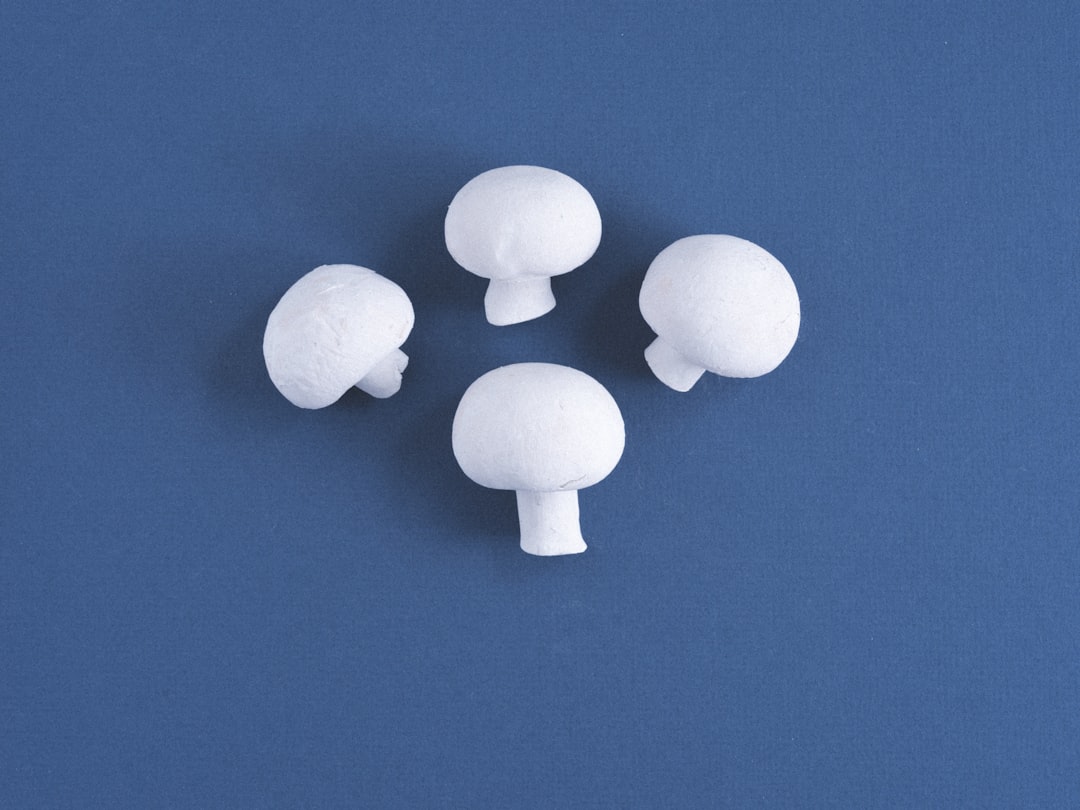 Adjustable Dumbbells Pair